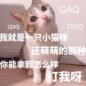 公交车被cao到合不拢腿app
