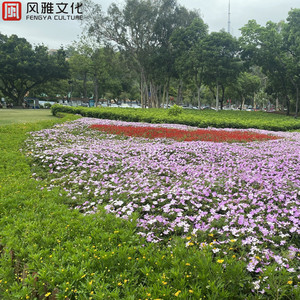 公交车被cao到合不拢腿app
